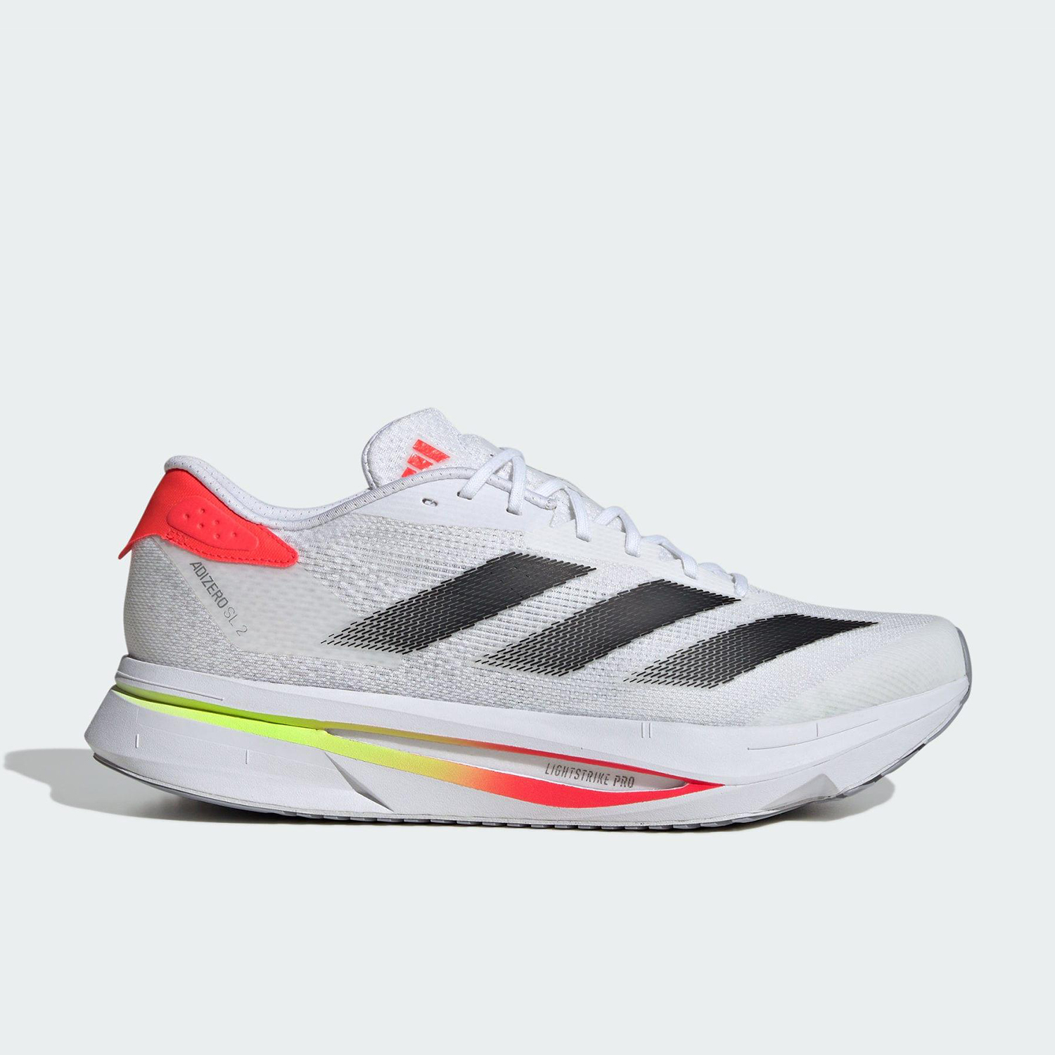حذاء أديداس أوثنتيك 25 سبرينج  - مراجعة Men Shoes Running Adidas وسعره